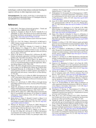 Molecular Biotechnology
1 3
technologies could also help enhance molecular breeding for
superior cultivars in other important cereal crops.
Acknowledgements The authors would like to acknowledge Sci-
ence  Technology  Renewable Energy, UT Chandigarh [Grant No.
STRE/RP/147(21-22)/10/2021/956].
References
1. FAO. (2017). The future of food and agriculture – Trends and
challenges. Rome. ISBN 978-92-5-109551-5.
2. Agnoun, A., Samadori, S., Biaou, H., Sié, M., Vodouhè, R. S., 
Ahanchédé, A. (2012). The African rice Oryza glaberrima Steud:
Knowledge distribution and prospects. International Journal of
Biology, 4(3). https://​doi.​org/​10.​5539/​ijb.​v4n3p​158
3. FAO. (2009). A searchable catalogue of grass and forage legumes.
FAO.
4. Garris, A. J., Tai, T. H., Coburn, J., Kresovich, S.,  McCouch, S.
(2005). Genetic structure and diversity in Oryza sativa L. Genet-
ics, 169(3), 1631–1638.
5. Chukwu, S. C., Rafii, M. Y., Ramlee, S. I., Ismail, S. I., Hasan,
M. M., Oladosu, Y. A., Magaji, U. G., Akos, I.,  Olalekan, K.
K. (2019). Bacterial leaf blight resistance in rice: A review of
conventional breeding to molecular approach. Molecular Biology
Reports, 46(1), 1519–1532.
6. Ismail, A. M., Heuer, S., Thomson, M. J.,  Wissuwa, M. (2007).
Genetic and genomic approaches to develop rice germplasm for
problem soils. Plant Molecular Biology, 65(4), 547–570.
7. Miah, G., Rafii, M. Y., Ismail, M. R., Puteh, A. B., Rahim, H. A.,
Asfaliza, R.,  Latif, M. A. (2013). Blast resistance in rice: A
review of conventional breeding to molecular approaches. Molec-
ular Biology Reports, 40(3), 2369–2388.
8. Ntuli, T. M. (2012). Drought and desiccation-tolerance and sensi-
tivity in plants. In J. K. Mworia (Ed.), Botany (pp. 29–60) In Tech.
9. Yamaguchi-Shinozaki, K.,  Shinozaki, K. (2006). Transcrip-
tional regulatory networks in cellular responses and tolerance to
dehydration and cold stresses. Annual Review of Plant Biology,
57, 781–803.
10. Zheng, X., Chen, B., Lu, G.,  Han, B. (2009). Overexpression of
a NAC transcription factor enhances rice drought and salt toler-
ance. Biochemical and Biophysical Research Communications,
379(4), 985–989.
11. Pieters, A. J.,  El Souki, S. (2005). Effects of drought during
grain filling on PS II activity in rice. Journal of Plant Physiology,
162(8), 903–911.
12. Singh, P. K.,  Gautam, S. (2013). Role of salicylic acid on physi-
ological and biochemical mechanism of salinity stress tolerance
in plants. Acta Physiologiae Plantarum, 35(8), 2345–2353.
13. Jackson, M. B.,  Ram, P. C. (2003). Physiological and molecular
basis of susceptibility and tolerance of rice plants to complete
submergence. Annals of Botany, 91(2), 227–241. https://​doi.​org/​
10.​1093/​aob/​mcf242
14. Bailey-Serres, J., Fukao, T., Ronald, P., Ismail, A., Heuer, S., 
Mackill, D. (2010). Submergence tolerant rice: SUB1’s journey
from landrace to modern cultivar. Rice, 3(2), 138–147. https://​doi.​
org/​10.​1007/​s12284-​010-​9048-5
15. Shimono, H., Hasegawa, T.,  Iwama, K. (2002). Response of
growth and grain yield in paddy rice to cool water at different
growth stages. Field Crops Research, 73(2–3), 67–79.
16. Lone, J. A., Khan, M. N., Bhat, M. A., Shikari, A. B., Wani, S.
H., Sofi, N. R., Khan, M. I.,  Lone, R. A. (2018). Cold tolerance
at germination and seedling stages of rice: Methods of evalua-
tion and characterization of thirty rice genotypes under stress
conditions. International Journal of Current Microbiology and
Applied Sciences, 7, 1103–1109.
17. Yookongkaew, N., Srivatanakul, M.,  Narangajavana, J. (2007).
Development of genotype-independent regeneration system
for transformation of rice (Oryza sativa ssp. indica). Journal
of Plant Research, 120(2), 237–245. https://​doi.​org/​10.​1007/​
s10265-​006-​0046-z
18. Jones, H. D. (2003). GENETIC MODIFICATION | Transforma-
tion, general principles. In B. B. T.-E. of A. P. S. Thomas (Ed.),
(pp. 377–382). Elsevier. https://​doi.​org/​10.​1016/​B0-​12-​227050-​9/​
00197-6
19. Oppenheimer, N. J., Rodriguez, L. O.,  Hecht, S. M. (1980).
Metal binding to modified bleomycins. Zinc and ferrous com-
plexes with an acetylated bleomycin. Biochemistry, 19(17), 4096–
4103. https://​doi.​org/​10.​1021/​bi005​58a030
20. Datta, S. K., Datta, K., Soltanifar, N., Donn, G.,  Potrykus, I.
(1992). Herbicide-resistant Indica rice plants from IRRI breed-
ing line IR72 after PEG-mediated transformation of protoplasts.
Plant Molecular Biology, 20(4), 619–629. https://​doi.​org/​10.​1007/​
BF000​46447
21. Wilmink, A.,  Dons, J. J. M. (1993). Selective agents and marker
genes for use in transformation of monocotyledonous plants. Plant
Molecular Biology Reporter, 11(2), 165–185. https://​doi.​org/​10.​
1007/​BF026​70474
22. Kotra, L. P., Haddad, J.,  Mobashery, S. (2000). Aminoglyco-
sides: Perspectives on mechanisms of action and resistance and
strategies to counter resistance. Antimicrobial Agents and Chemo-
therapy, 44(12), 3249LP–3256LP. https://​doi.​org/​10.​1128/​AAC.​
44.​12.​3249-​3256.​2000
23. Franklin, T. J.,  Snow, G. A. (2005). Biochemistry and molecular
biology of antimicrobial drug action. Biochemistry and Molecu-
lar Biology of Antimicrobial Drug Action. https://​doi.​org/​10.​
1007/0-​387-​27566-5
24. Chauvin, J.-E., Marhadour, S., Cohat, J.,  Le Nard, M. (1999).
Effects of gelling agents on in vitro regeneration and kanamycin
efficiency as a selective agent in plant transformation procedures.
Plant Cell, Tissue and Organ Culture, 58(3), 213–217. https://​doi.​
org/​10.​1023/A:​10063​90929​364
25. Joersbo, M.,  Okkels, F. T. (1996). A novel principle for selec-
tion of transgenic plant cells: Positive selection. Plant Cell
Reports, 16(3), 219–221. https://​doi.​org/​10.​1007/​BF018​90871
26. Lin, J.-J., Assad-Garcia, N.,  Kuo, J. (1995). Plant hormone
effect of antibiotics on the transformation efficiency of plant tis-
sues by Agrobacterium tumefaciens cells. Plant Science, 109(2),
171–177. https://​doi.​org/​10.​1016/​0168-​9452(95)​04168-T
27. Tran, T. N.,  Sanan-Mishra, N. (2015). Effect of antibiotics on
callus regeneration during transformation of IR 64 rice. Biotech-
nology Reports (Amsterdam, Netherlands), 7, 143–149. https://​
doi.​org/​10.​1016/j.​btre.​2015.​06.​004
28. Thodsaporn, P., Bunnag, S., Theerakulpisut, P.,  Manit, K.
(2004). Transformation of indica rice (Oryza sativa L.) cv. RD6
mediated by Agrobacterium tumefaciens. Songklanakarin Journal
of Science and Technology, 26, 1–13.
29. Chan, M.-T., Lee, T.-M.,  Chang, H.-H. (1992). Transforma-
tion of indica rice (Oryza sativa L.) mediated by Agrobacterium
tumefaciens. Plant and Cell Physiology, 33(5), 577–583.
30. Tripathi, R., Bisht, H.,  Singh, R. (2010). Effect of acetosyrin-
gone and callus age on transformation for scutellum-derived callus
of rice. International Journal of Pharma and Bio Sciences, 1, 163.
31. Dong, J., Teng, W., Buchholz, W. G.,  Hall, T. C. (1996). Agro-
bacterium-mediated transformation of Javanica rice. Molecular
Breeding, 2(3), 267–276. https://​doi.​org/​10.​1007/​BF005​64204
32. Hiei, Y.,  Komari, T. (2006). Improved protocols for transforma-
tion of indica rice mediated by Agrobacterium tumefaciens. Plant
Cell, Tissue and Organ Culture, 85, 271–283. https://​doi.​org/​10.​
1007/​s11240-​005-​9069-8
 