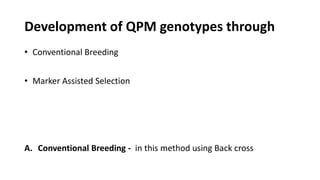 Development of QPM genotypes through
• Conventional Breeding
• Marker Assisted Selection
A. Conventional Breeding - in this method using Back cross
 