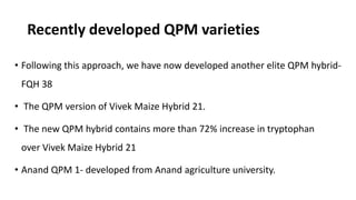 Recently developed QPM varieties
• Following this approach, we have now developed another elite QPM hybrid-
FQH 38
• The QPM version of Vivek Maize Hybrid 21.
• The new QPM hybrid contains more than 72% increase in tryptophan
over Vivek Maize Hybrid 21
• Anand QPM 1- developed from Anand agriculture university.
 