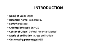 INTRODUCTION
• Name of Crop: Maize
• Botanical Name: Zea mays L.
• Family: Poaceae
• Chromosome No.: 2n = 20
• Center of Origin: Central America (Mexico)
• Mode of pollination : Cross pollination
• Out crossing percentage: 95%
 