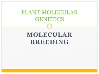 PLANT MOLECULAR
GENETICS

MOLECULAR
BREEDING

 