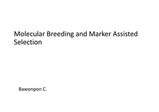 Molecular Breeding and Marker Assisted
Selection
Molecular Breeding and Marker Assisted
Selection
Bawonpon C.
 