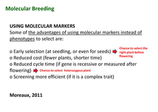 USING MOLECULAR MARKERS
Some of the advantages of using molecular markers instead of
phenotypes to select are:
o Early selection (at seedling, or even for seeds)
o Reduced cost (fewer plants, shorter time)
o Reduced cycle time (if gene is recessive or measured after
flowering)
o Screening more efficient (if it is a complex trait)
Moreaux, 2011
Molecular Breeding
USING MOLECULAR MARKERS
Some of the advantages of using molecular markers instead of
phenotypes to select are:
o Early selection (at seedling, or even for seeds)
o Reduced cost (fewer plants, shorter time)
o Reduced cycle time (if gene is recessive or measured after
flowering)
o Screening more efficient (if it is a complex trait)
Moreaux, 2011
Chance to select the
right plant before
flowering
Chance to select heterozygous plant
USING MOLECULAR MARKERS
Some of the advantages of using molecular markers instead of
phenotypes to select are:
o Early selection (at seedling, or even for seeds)
o Reduced cost (fewer plants, shorter time)
o Reduced cycle time (if gene is recessive or measured after
flowering)
o Screening more efficient (if it is a complex trait)
Moreaux, 2011
 