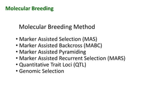 • Marker Assisted Selection (MAS)
• Marker Assisted Backcross (MABC)
• Marker Assisted Pyramiding
• Marker Assisted Recurrent Selection (MARS)
• Quantitative Trait Loci (QTL)
• Genomic Selection
Molecular Breeding Method
Molecular Breeding
• Marker Assisted Selection (MAS)
• Marker Assisted Backcross (MABC)
• Marker Assisted Pyramiding
• Marker Assisted Recurrent Selection (MARS)
• Quantitative Trait Loci (QTL)
• Genomic Selection
• Marker Assisted Selection (MAS)
• Marker Assisted Backcross (MABC)
• Marker Assisted Pyramiding
• Marker Assisted Recurrent Selection (MARS)
• Quantitative Trait Loci (QTL)
• Genomic Selection
 