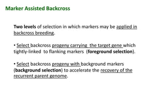 Two levels of selection in which markers may be applied in
backcross breeding.
• Select backcross progeny carrying the target gene which
tightly-linked to flanking markers (foreground selection).
• Select backcross progeny with background markers
(background selection) to accelerate the recovery of the
recurrent parent genome.
Marker Assisted Backcross
Two levels of selection in which markers may be applied in
backcross breeding.
• Select backcross progeny carrying the target gene which
tightly-linked to flanking markers (foreground selection).
• Select backcross progeny with background markers
(background selection) to accelerate the recovery of the
recurrent parent genome.
Two levels of selection in which markers may be applied in
backcross breeding.
• Select backcross progeny carrying the target gene which
tightly-linked to flanking markers (foreground selection).
• Select backcross progeny with background markers
(background selection) to accelerate the recovery of the
recurrent parent genome.
 
