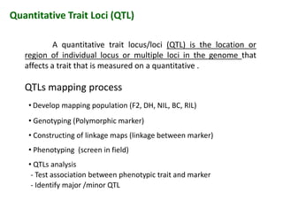 Quantitative Trait Loci (QTL)
A quantitative trait locus/loci (QTL) is the location or
region of individual locus or multiple loci in the genome that
affects a trait that is measured on a quantitative .
• Develop mapping population (F2, DH, NIL, BC, RIL)
• Genotyping (Polymorphic marker)
• Constructing of linkage maps (linkage between marker)
• Phenotyping (screen in field)
• QTLs analysis
- Test association between phenotypic trait and marker
- Identify major /minor QTL
QTLs mapping process
A quantitative trait locus/loci (QTL) is the location or
region of individual locus or multiple loci in the genome that
affects a trait that is measured on a quantitative .
• Develop mapping population (F2, DH, NIL, BC, RIL)
• Genotyping (Polymorphic marker)
• Constructing of linkage maps (linkage between marker)
• Phenotyping (screen in field)
• QTLs analysis
- Test association between phenotypic trait and marker
- Identify major /minor QTL
 