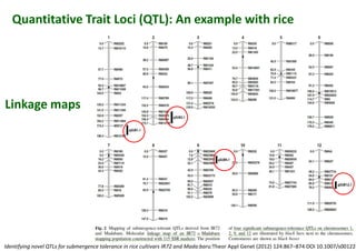 Quantitative Trait Loci (QTL): An example with rice
Linkage maps
Identifying novel QTLs for submergence tolerance in rice cultivars IR72 and Mada:baru:Theor Appl Genet (2012) 124:867–874 DOI 10.1007/s00122-
 