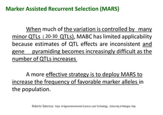 Marker Assisted Recurrent Selection (MARS)
When much of the variation is controlled by many
minor QTLs ( 20-30 QTLs), MABC has limited applicability
because estimates of QTL effects are inconsistent and
gene pyramiding becomes increasingly difficult as the
number of QTLs increases.
A more effective strategy is to deploy MARS to
increase the frequency of favorable marker alleles in
the population.
When much of the variation is controlled by many
minor QTLs ( 20-30 QTLs), MABC has limited applicability
because estimates of QTL effects are inconsistent and
gene pyramiding becomes increasingly difficult as the
number of QTLs increases.
A more effective strategy is to deploy MARS to
increase the frequency of favorable marker alleles in
the population.
Roberto Tuberosa: Dept. of Agroenvironmental Sciences and Technology , University of Bologna, Italy
When much of the variation is controlled by many
minor QTLs ( 20-30 QTLs), MABC has limited applicability
because estimates of QTL effects are inconsistent and
gene pyramiding becomes increasingly difficult as the
number of QTLs increases.
A more effective strategy is to deploy MARS to
increase the frequency of favorable marker alleles in
the population.
 