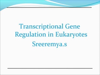 Transcriptional Gene
Regulation in Eukaryotes
Sreeremya.s
 