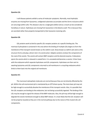 Question 2A:


        I-cell disease patients exhibit a series of molecular symptoms. Normally, most hydrolytic
enzymes are missing from lysosomes, undigested substrates accumulate and this forms inclusions which
are very large within cells. This disease is due to a single gene defect and as a result can be considered
hereditary in nature. Hydrolases are missing from lysosomes in the blood as well. This is because they
are secreted rather than properly transported to their lysosome receiving cells.


Question 2B:


        LDL proteins work to bind to specific LDL receptor proteins at a specific binding site. The
mannose 6-phosphate is contained in the area where the binding of multiple LDLs begins to form the
membrane of the transport vesicle known as the clathrin coat. Areas known as clathrin pits exist as this
structure forms and play a direct role in its construction. Adaptor proteins enclose the components of
the coat of the vesicle. The vesicle will contain M6P receptors and the desired enzymes. Endocytosis
ejects the vesicle which is released in coated form. It is uncoated and becomes a vesicle. It then fuses
with the endosome which separate hydrolases and LDL components. Hydrolases are then sent to
awaiting lysosomes and LDL components returned to cell membrane in a recycling endosome which
binds to them back into the original cell membrane.


Question 2C:


        The mannose 6-phosphate molecules are normal because they are not directly effected by the
pH. Within the cell environment pH is maintained by an ATP driven-pump. The more basic pH may not
be high enough to successfully dissolve the membrane of the transport vesicle. Also, it is possible that
the LDL receptors are binding to the endosome, but not being successfully ingested. The binding of the
LDL may be enough to signal the release of the M6P molecules. Also, the pH may still be high enough to
degrade the vesicle membrane enough to allow M6P release. It is most likely that the LDL receptors will
not be properly recycled as they are in the normal pathway due to the nature of the mutant LDL cell
components.




                                                                                                   Corvini 4
 