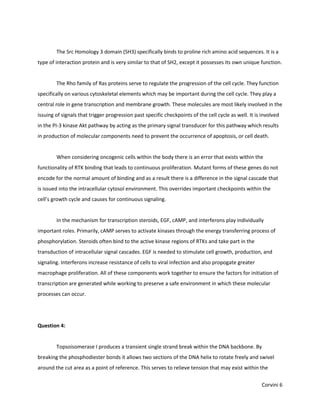 The Src Homology 3 domain (SH3) specifically binds to proline rich amino acid sequences. It is a
type of interaction protein and is very similar to that of SH2, except it possesses its own unique function.


        The Rho family of Ras proteins serve to regulate the progression of the cell cycle. They function
specifically on various cytoskeletal elements which may be important during the cell cycle. They play a
central role in gene transcription and membrane growth. These molecules are most likely involved in the
issuing of signals that trigger progression past specific checkpoints of the cell cycle as well. It is involved
in the PI-3 kinase Akt pathway by acting as the primary signal transducer for this pathway which results
in production of molecular components need to prevent the occurrence of apoptosis, or cell death.


        When considering oncogenic cells within the body there is an error that exists within the
functionality of RTK binding that leads to continuous proliferation. Mutant forms of these genes do not
encode for the normal amount of binding and as a result there is a difference in the signal cascade that
is issued into the intracellular cytosol environment. This overrides important checkpoints within the
cell’s growth cycle and causes for continuous signaling.


        In the mechanism for transcription steroids, EGF, cAMP, and interferons play individually
important roles. Primarily, cAMP serves to activate kinases through the energy transferring process of
phosphorylation. Steroids often bind to the active kinase regions of RTKs and take part in the
transduction of intracellular signal cascades. EGF is needed to stimulate cell growth, production, and
signaling. Interferons increase resistance of cells to viral infection and also propogate greater
macrophage proliferation. All of these components work together to ensure the factors for initiation of
transcription are generated while working to preserve a safe environment in which these molecular
processes can occur.




Question 4:


        Topsoisomerase I produces a transient single strand break within the DNA backbone. By
breaking the phosphodiester bonds it allows two sections of the DNA helix to rotate freely and swivel
around the cut area as a point of reference. This serves to relieve tension that may exist within the

                                                                                                       Corvini 6
 