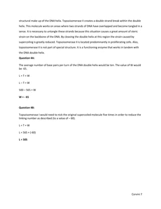 structural make up of the DNA helix. Topsoisomerase II creates a double strand break within the double
helix. This molecule works on areas where two strands of DNA have overlapped and become tangled in a
sense. It is necessary to untangle these strands because this situation causes a great amount of steric
strain on the backbone of the DNA. By cleaving the double helix at this region the strain caused by
supercoiling is greatly reduced. Topsoisomerase II is located predominantly in proliferating cells. Also,
topsoisomerase II is not part of special structure. It is a functioning enzyme that works in tandem with
the DNA double helix.
Question 4A:

The average number of base pairs per turn of the DNA double helix would be ten. The value of W would
be -65.

L=T+W

L–T=W

500 – 565 = W

W = - 65


Question 4B:

Topsoisomerase I would need to nick the original supercoiled molecule five times in order to reduce the
linking number as described (to a value of – 60).

L=T+W

L = 565 + (-60)

L = 505




                                                                                                   Corvini 7
 