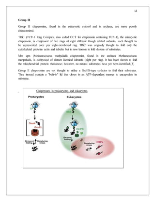 12
Group II
Group II chaperonins, found in the eukaryotic cytosol and in archaea, are more poorly
characterized.
TRiC (TCP-1 Ring Complex, also called CCT for chaperonin containing TCP-1), the eukaryotic
chaperonin, is composed of two rings of eight different though related subunits, each thought to
be represented once per eight-membered ring. TRiC was originally thought to fold only the
cytoskeletal proteins actin and tubulin but is now known to fold dozens of substrates.
Mm cpn (Methanococcus maripaludis chaperonin), found in the archaea Methanococcus
maripaludis, is composed of sixteen identical subunits (eight per ring). It has been shown to fold
the mitochondrial protein rhodanese; however, no natural substrates have yet been identified.[3]
Group II chaperonins are not thought to utilize a GroES-type cofactor to fold their substrates.
They instead contain a "built-in" lid that closes in an ATP-dependent manner to encapsulate its
substrate.
. Chaperones in prokaryotes and eukaryotes
 