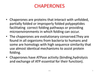 Molecular chaperones | PPT