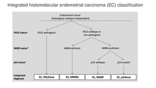 MOLECULAR CLASSIFICATION OF ENDOMETRIAL CARCINOMA.pptx