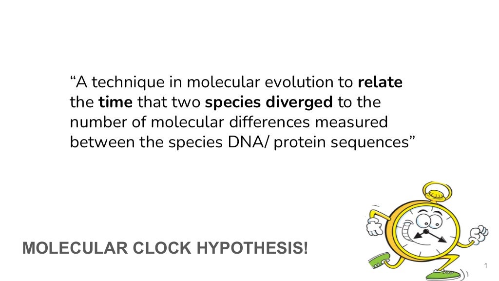 Molecular clock, Neutral hypothesis