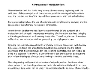 Molecular Clock.pdf for undergraduate students | PDF