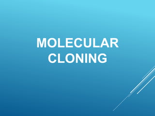 MOLECULAR
CLONING
 