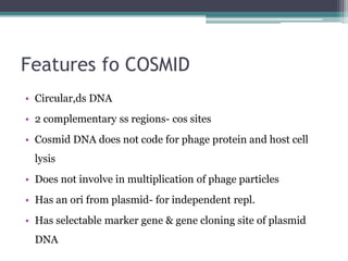 Features fo COSMID
• Circular,ds DNA
• 2 complementary ss regions- cos sites
• Cosmid DNA does not code for phage protein and host cell
lysis
• Does not involve in multiplication of phage particles
• Has an ori from plasmid- for independent repl.
• Has selectable marker gene & gene cloning site of plasmid
DNA
 