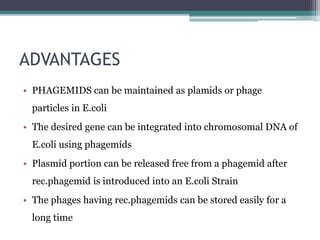 ADVANTAGES
• PHAGEMIDS can be maintained as plamids or phage
particles in E.coli
• The desired gene can be integrated into chromosomal DNA of
E.coli using phagemids
• Plasmid portion can be released free from a phagemid after
rec.phagemid is introduced into an E.coli Strain
• The phages having rec.phagemids can be stored easily for a
long time
 