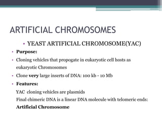 ARTIFICIAL CHROMOSOMES
• YEAST ARTIFICIAL CHROMOSOME(YAC)
• Purpose:
• Cloning vehicles that propogate in eukaryotic cell hosts as
eukaryotic Chromosomes
• Clone very large inserts of DNA: 100 kb - 10 Mb
• Features:
YAC cloning vehicles are plasmids
Final chimeric DNA is a linear DNA molecule with telomeric ends:
Artificial Chromosome
 