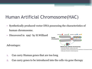 Human Artificial Chromosome(HAC)
• Synthetically produced vector DNA possessing the characteristics of
human chromosome.
• Discovered in 1997 by H.Williard
Advantages:
1. Can carry Human genes that are too long
2. Can carry genes to be introduced into the cells via gene therapy
 