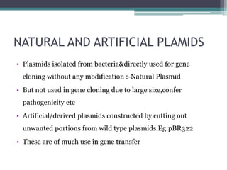 NATURAL AND ARTIFICIAL PLAMIDS
• Plasmids isolated from bacteria&directly used for gene
cloning without any modification :-Natural Plasmid
• But not used in gene cloning due to large size,confer
pathogenicity etc
• Artificial/derived plasmids constructed by cutting out
unwanted portions from wild type plasmids.Eg:pBR322
• These are of much use in gene transfer
 