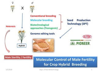 5/5/2018 Dept. of Plant Biotechnology 1
Hybrid
Heterosis
Conventional breeding
Molecular breeding
Biotechnological
approaches (Transgenic)
Genome editing tools
Seed Production
Technology (SPT)
Male Sterility / Fertility
Molecular Control of Male Fertility
for Crop Hybrid Breeding
 