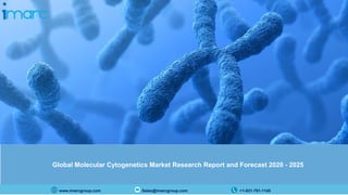 www.imarcgroup.com Sales@imarcgroup.com +1-631-791-1145
Global Molecular Cytogenetics Market Research Report and Forecast 2020 - 2025
 