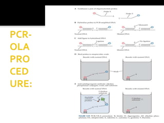 Molecular diagnosis of genetic disease ppt for students | PPTX