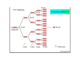 Molecular diagnosis of genetic disease ppt for students | PPTX