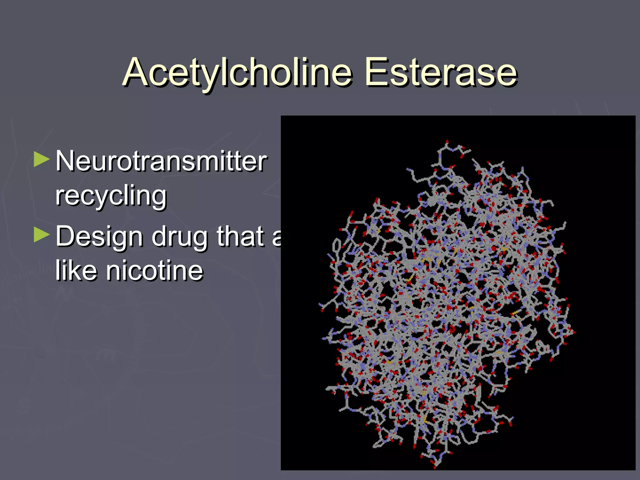 Acetylcholine EsteraseAcetylcholine Esterase
►NeurotransmitterNeurotransmitter
recyclingrecycling
►Design drug that actsDesign drug that acts
like nicotinelike nicotine
 