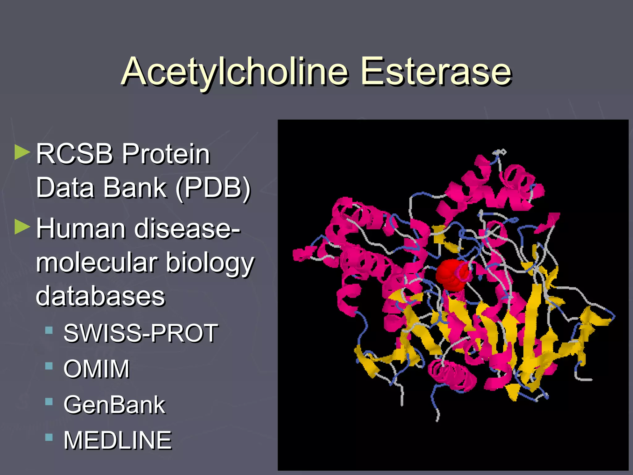 Acetylcholine EsteraseAcetylcholine Esterase
►RCSB ProteinRCSB Protein
Data Bank (PDB)Data Bank (PDB)
►Human disease-Human disease-
molecular biologymolecular biology
databasesdatabases
 SWISS-PROTSWISS-PROT
 OMIMOMIM
 GenBankGenBank
 MEDLINEMEDLINE
 