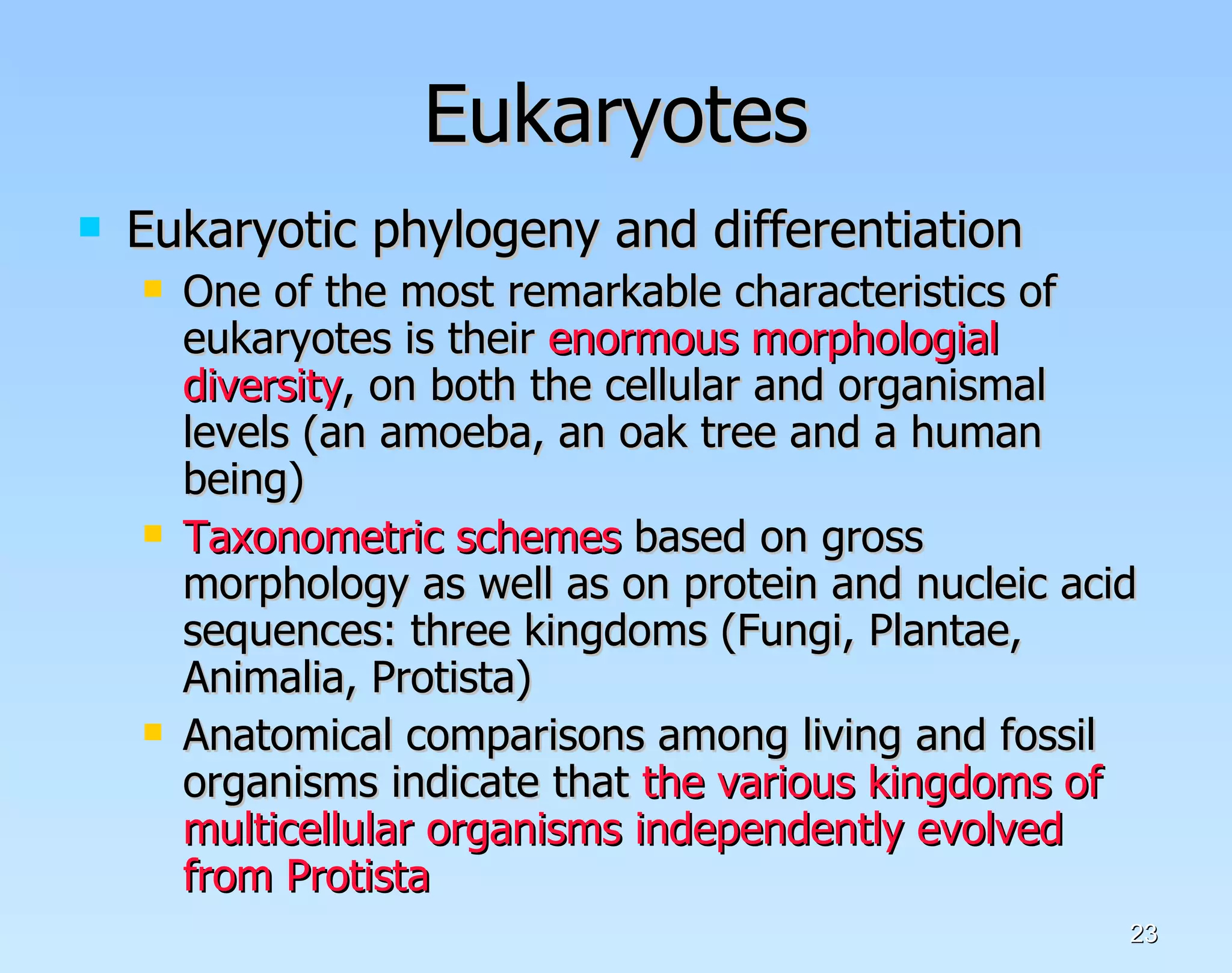 Eukaryotes Eukaryotic phylogeny and differentiation One of the most remarkable characteristics of eukaryotes is their  enormous morphologial diversity , on both the cellular and organismal levels (an amoeba, an oak tree and a human being) Taxonometric schemes  based on gross morphology as well as on protein and nucleic acid sequences: three kingdoms (Fungi, Plantae, Animalia, Protista)  Anatomical comparisons among living and fossil organisms indicate that  the various kingdoms of multicellular organisms independently evolved from Protista 