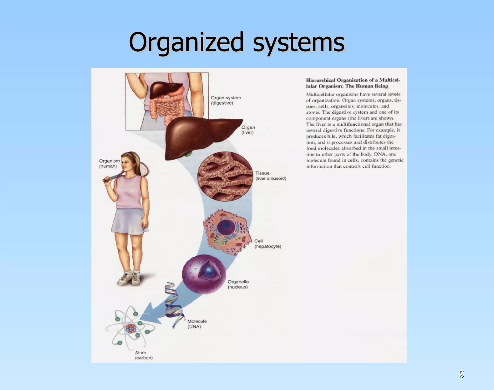 Organized systems 