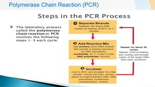 Identification and Detection of Microorganism | PPTX