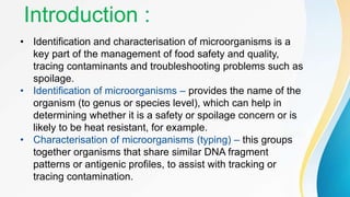 Ch12 Detection And Identification Of Microorganism Pdf 12buckingham