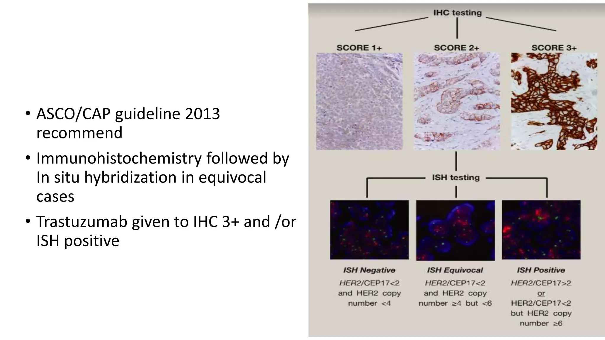 Molecular diagnosis in breast cancer | PPTX