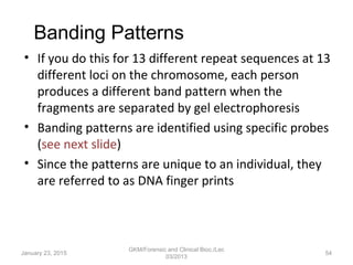 Molecular diagnostics | PPT