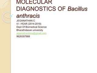 MOLECULAR
DIAGNOSTICS OF Bacillus
anthracis
JEGANATHAN C
IV –YEAR (2014-2019)
Dept Of Biomedical Science
Bharathidasan university
jeganathanbms@gmail.com
9626307988
 