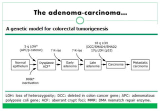 Molecular diagnostics of colorectal cancer | PPTX