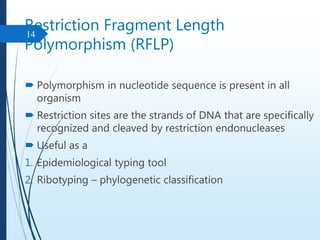 Restriction Fragment Length
Polymorphism (RFLP)
 Polymorphism in nucleotide sequence is present in all
organism
 Restriction sites are the strands of DNA that are specifically
recognized and cleaved by restriction endonucleases
 Useful as a
1. Epidemiological typing tool
2. Ribotyping – phylogenetic classification
14
 