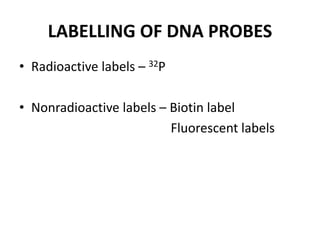 Dna Sample Label Molecular diagnostic techniques | PPTX