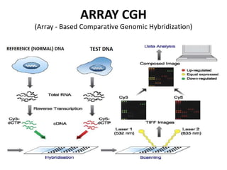 Molecular diagnostic techniques | PPTX
