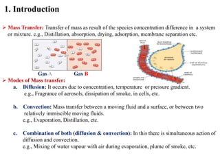 Molecular diffusion in gases