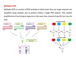 Multiplex Pcr Setup Molecular Dignosis Mandsure University.pptx
