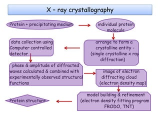 X – ray crystallography
Protein + precipitating medium

individual protein
molecule

data collection using
Computer controlled
detector
phase & amplitude of diffracted
waves calculated & combined with
experimentally observed structural
functions

Protein structure

arrange to form a
crystalline entity (single crystalline x ray
diffraction)
image of electron
diffracting cloud
(electron density map)

model building & refinement
(electron density fitting program
FRODO, TNT)

 