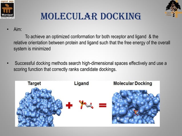 Molecular docking | PPTX