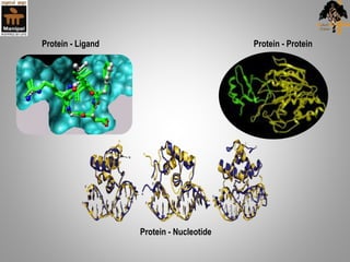 Protein - Ligand Protein - Protein
Protein - Nucleotide
 