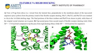 A) View of P-gp from above (i.e. viewed from the luminal face, perpendicular to the membrane plane) of the top-scored
saquinavir pose (yellow) from the primary round of the flexible receptor docking. Phe71, Phe332, and Phe728 were mutated
to Ala in the 1st Glide docking stage. The final positions of the three residues and Phe974 are shown in pink, while those of
the original crystal structure are in green. B) Top-scored poses from second round of flexible receptor docking (red), Glide
XP = −17.8 kcal/mol compared to top the pose from rigid docking (blue), Glide XP = −10.0 kcal/mol for saquinavir.
AMITY INSTITUTE OF PHARMACY
FLEXIBLE Vs RIGID DOCKING
 